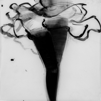 cathy daley