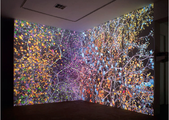 “Orbit,” 2009, Jennifer Steinkamp