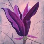 flowerstudy-purplemagnolia
