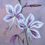whirlingbutterflies